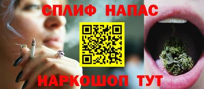 СК Гусь-Хрустальный