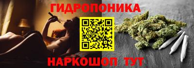 СК Гусь-Хрустальный