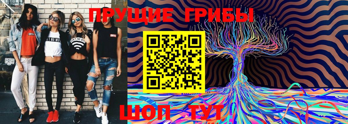 Псилоцибиновые грибы Psilocybine cubensis  Вход с VPN  Псилоцибиновые грибы мицелий  Волжск 